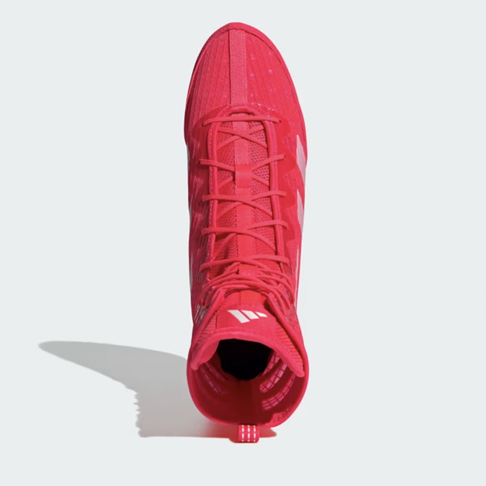 Adidas Box Hog 4 Boxing Boots - Lucid Red Legacy Boxing Sports Store Adidas Box Hog 4 Boxing Boots - Lucid Red Legacy Boxing Sports Store